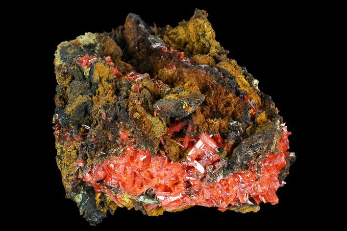 Bright Orange Crocoite Crystal Cluster - Tasmania #117617